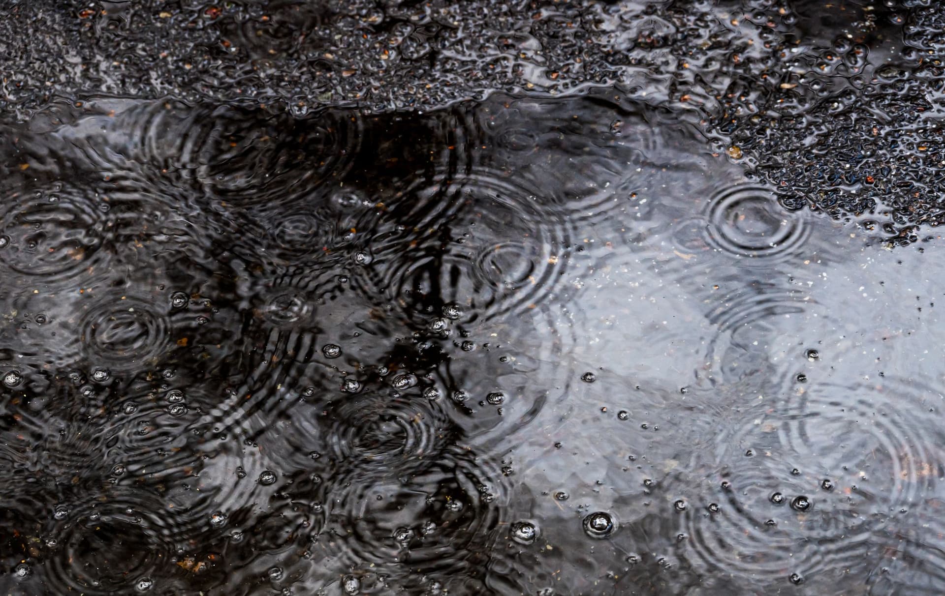 How to Feel Good During Portland's Rainy Season